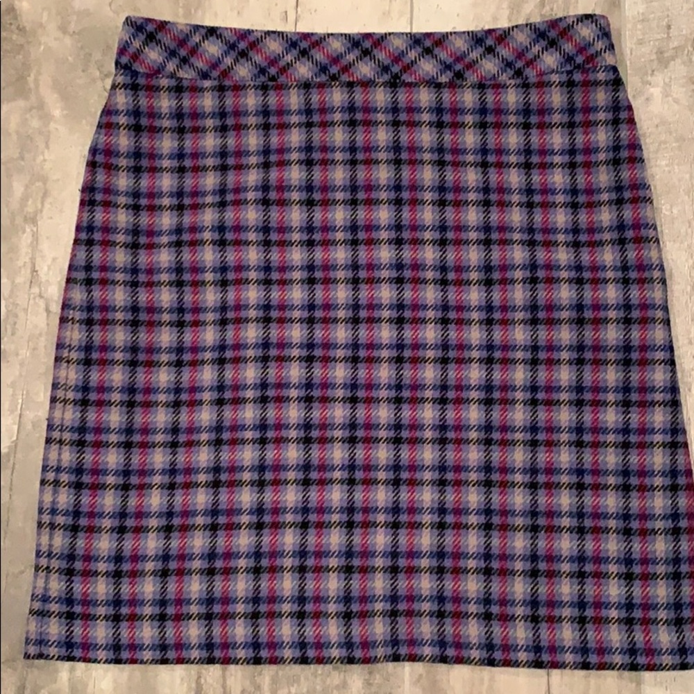 Multi Color Wool Lined Skirt